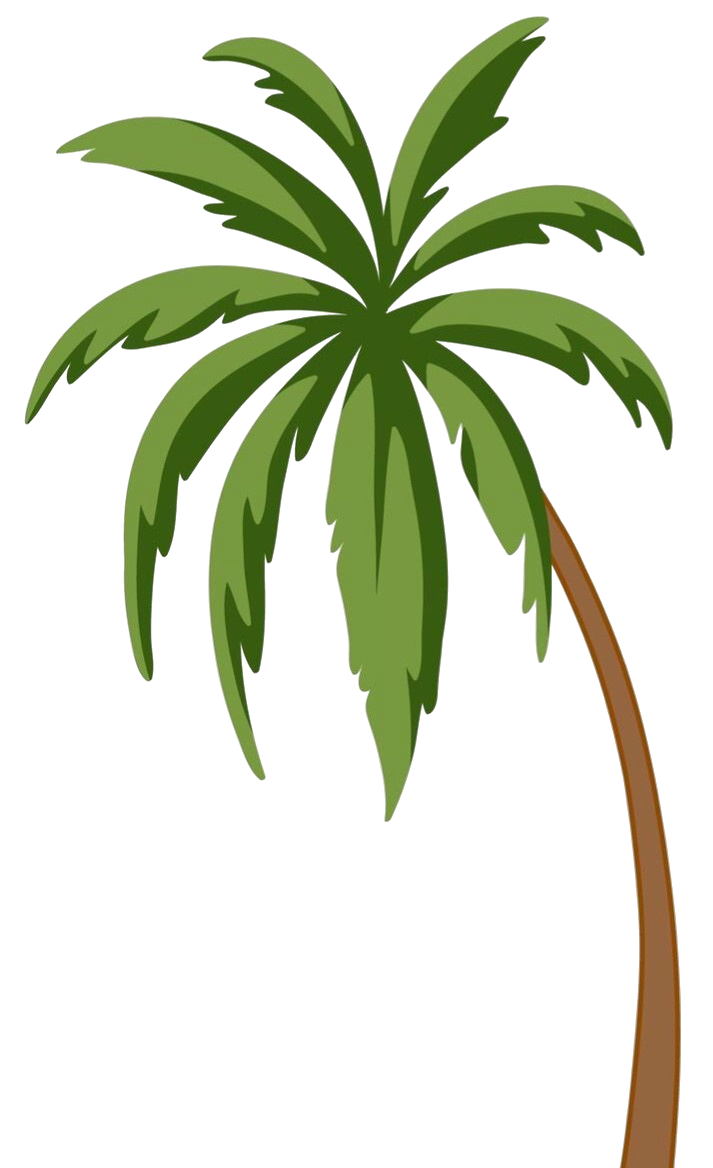 coconut-tree